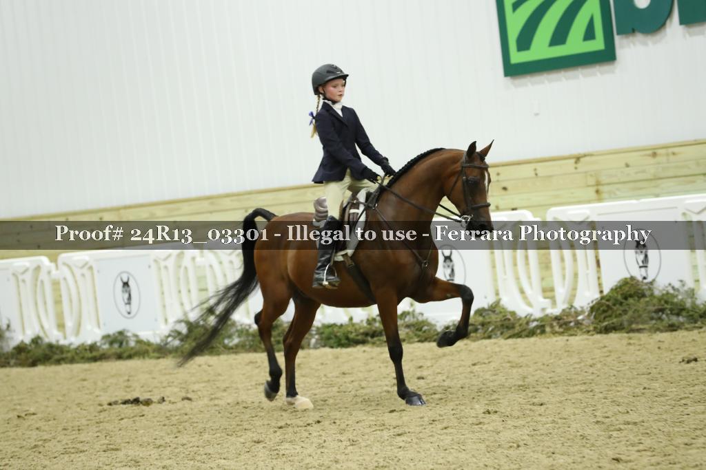 Proof 24R13_03301