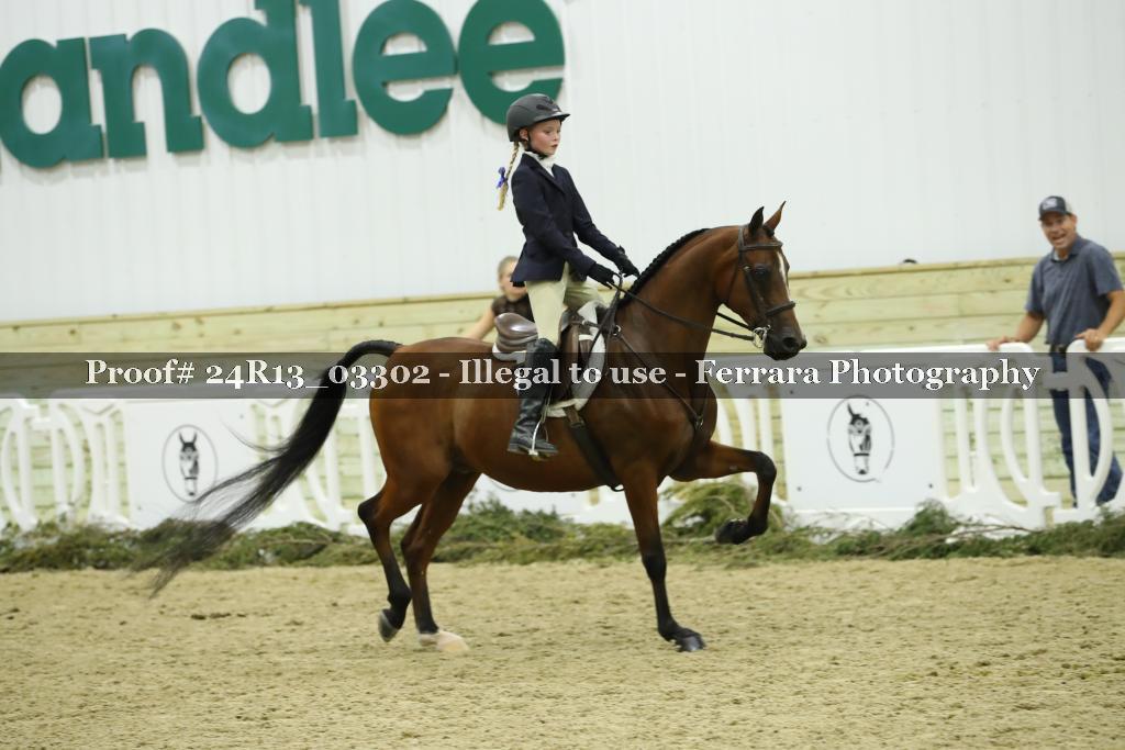 Proof 24R13_03302