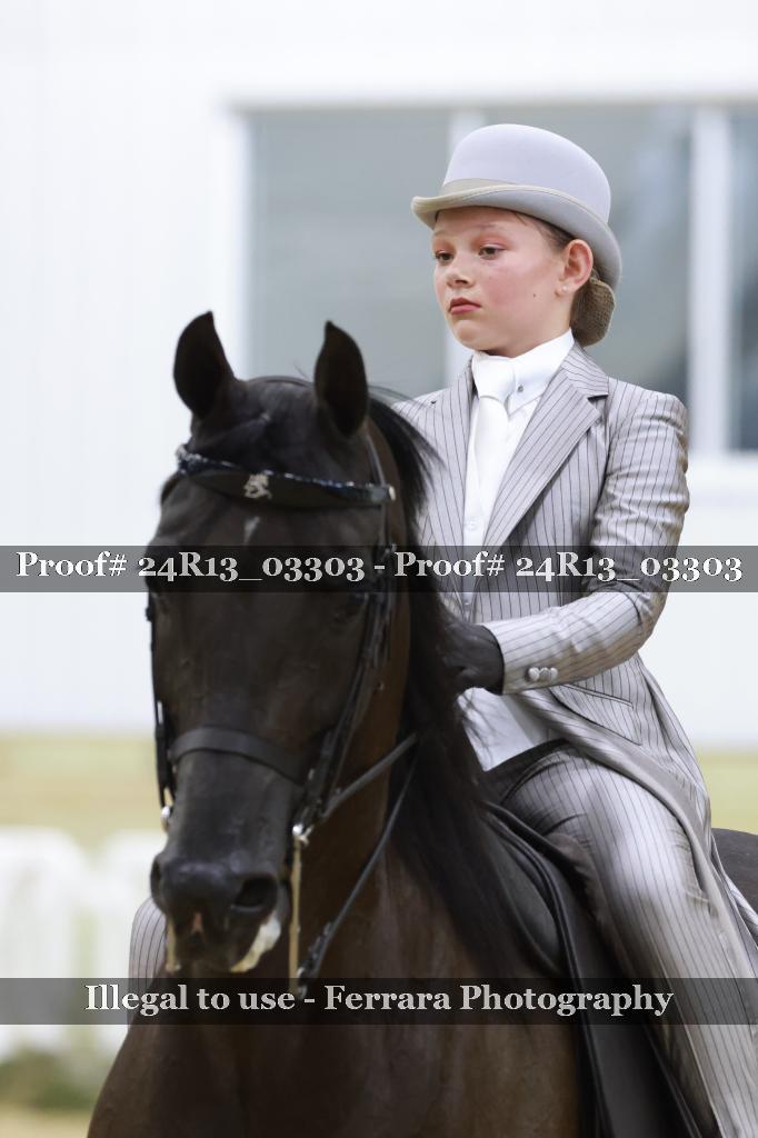 Proof 24R13_03303