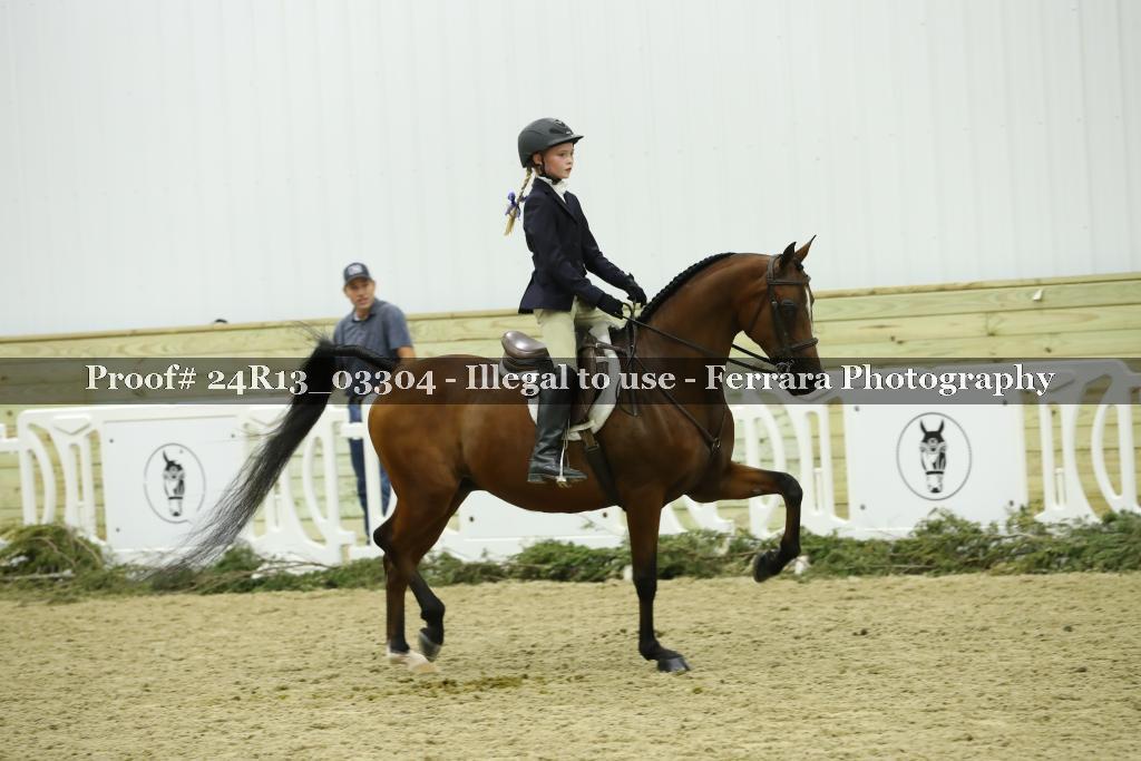 Proof 24R13_03304