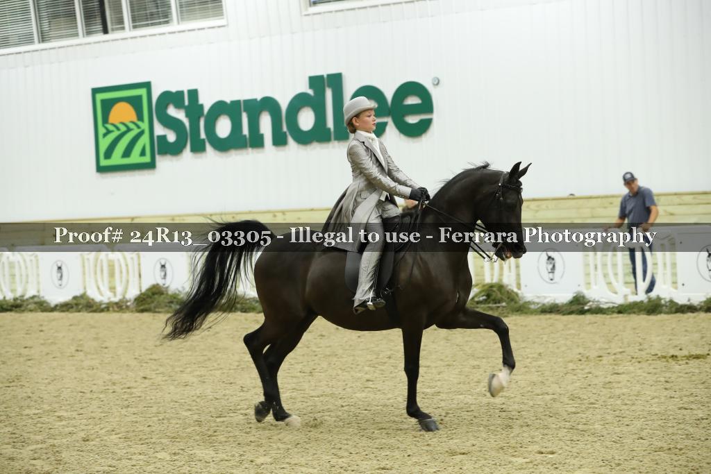 Proof 24R13_03305