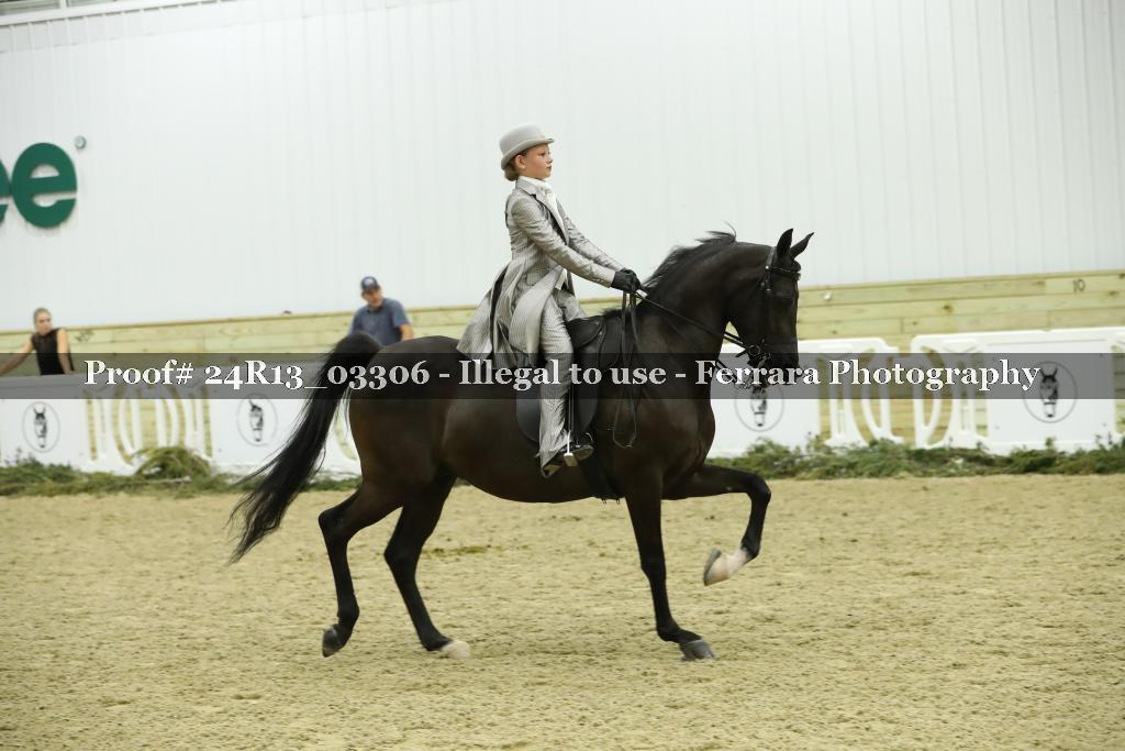 Proof 24R13_03306