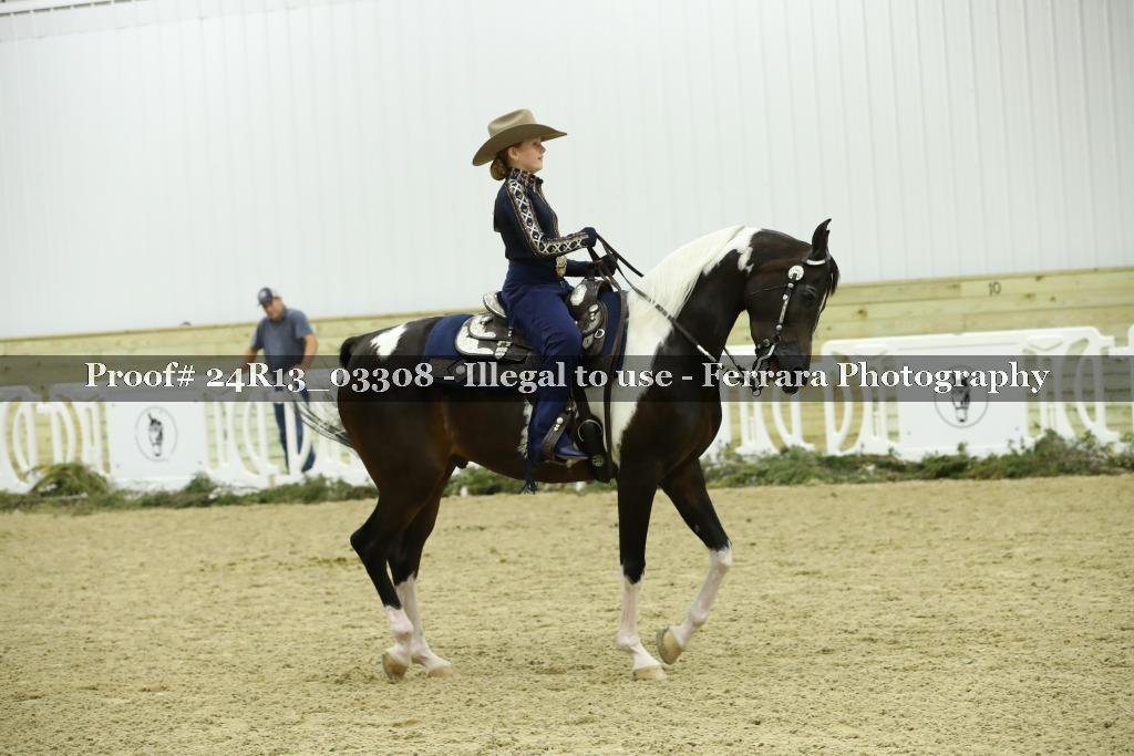 Proof 24R13_03308