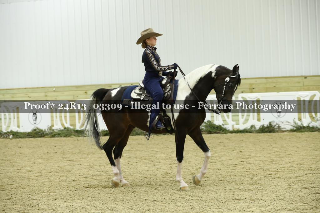 Proof 24R13_03309