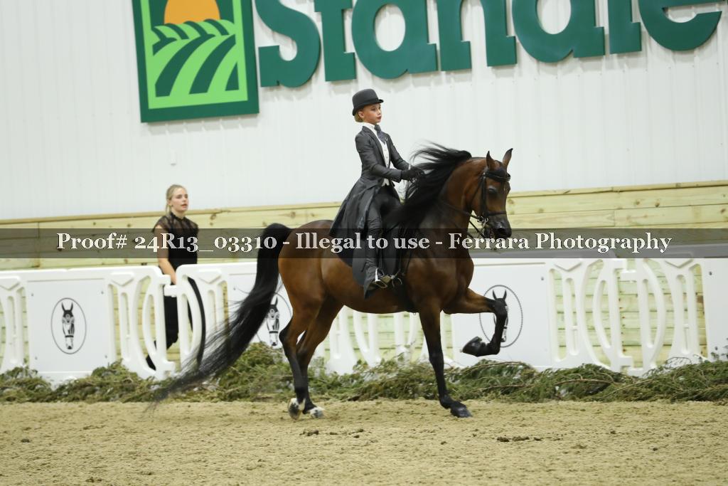 Proof 24R13_03310