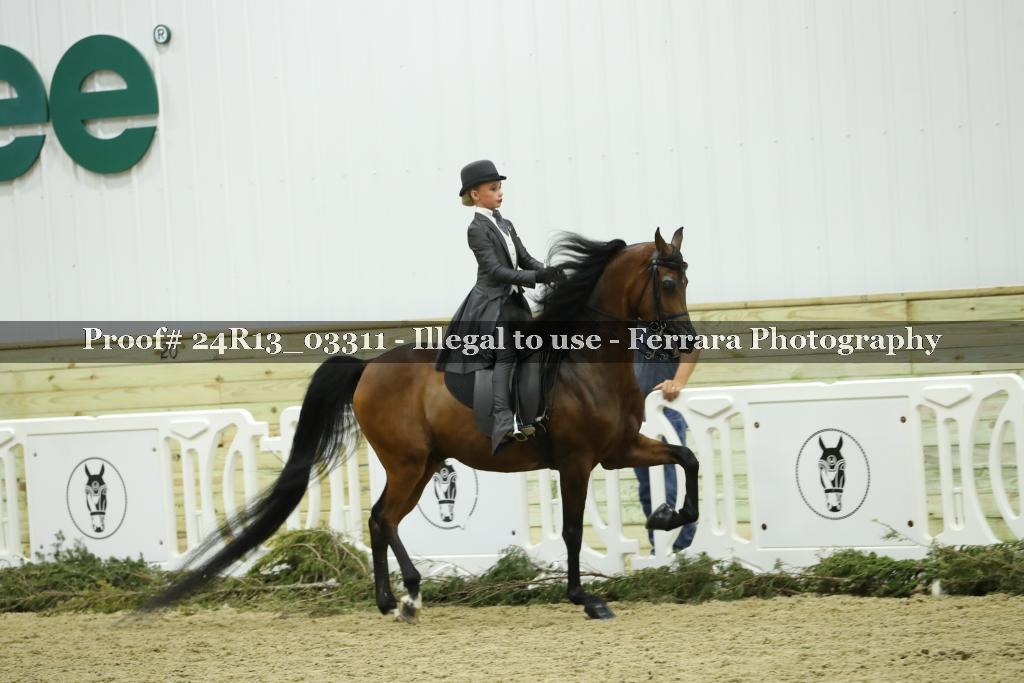 Proof 24R13_03311