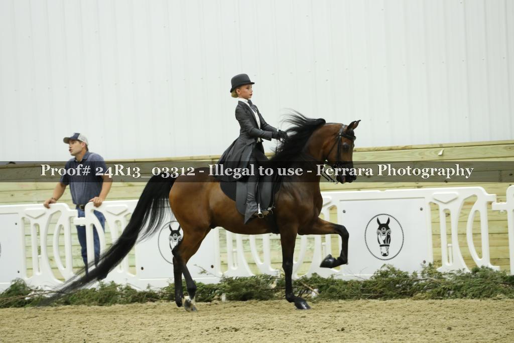 Proof 24R13_03312