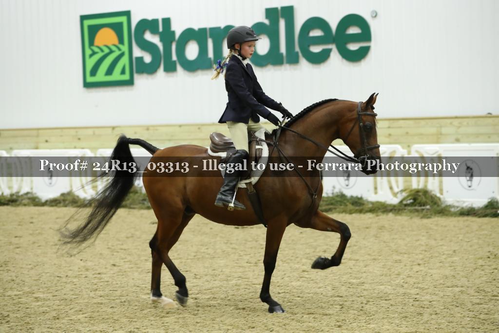 Proof 24R13_03313