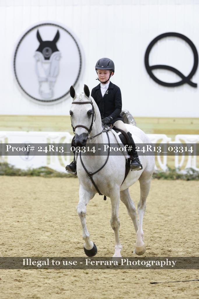 Proof 24R13_03314