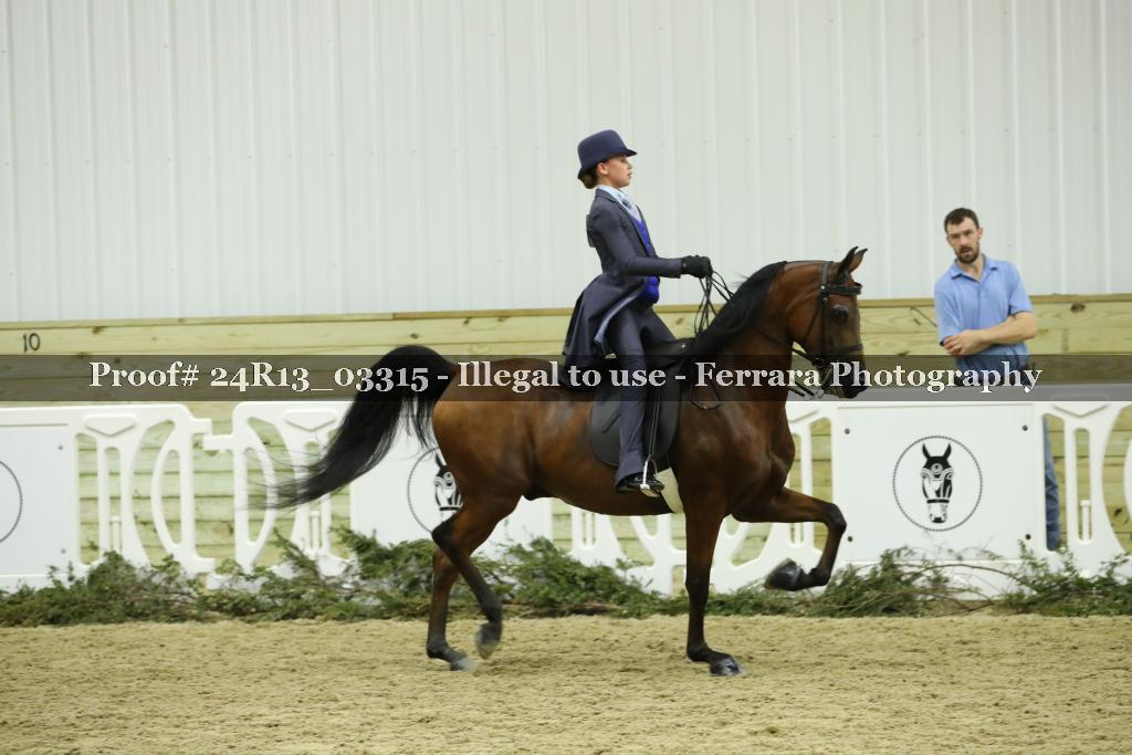 Proof 24R13_03315