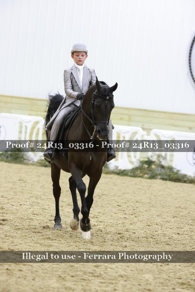 Proof 24R13_03316