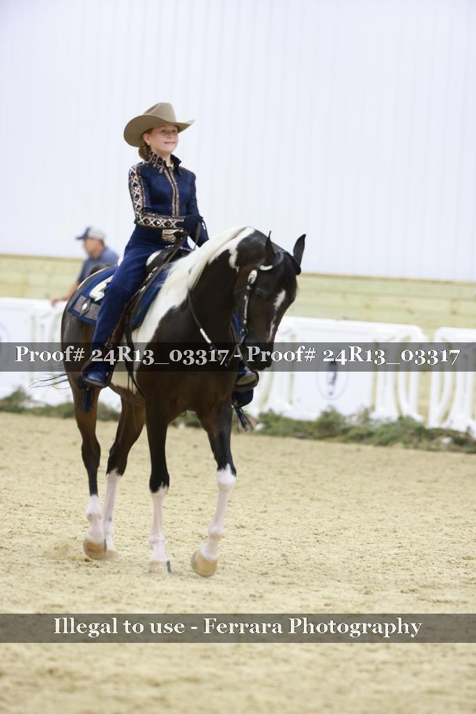 Proof 24R13_03317