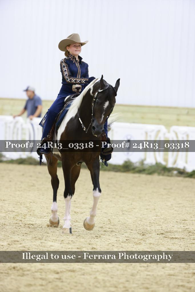 Proof 24R13_03318