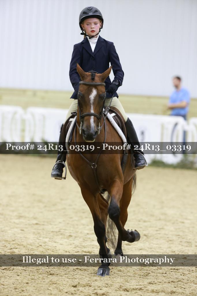 Proof 24R13_03319