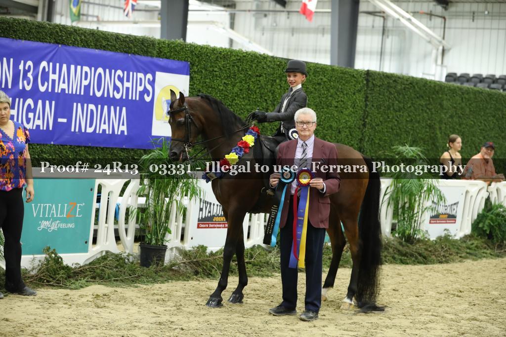 Proof 24R13_03331