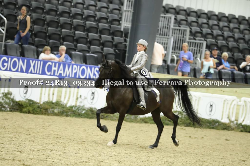 Proof 24R13_03334