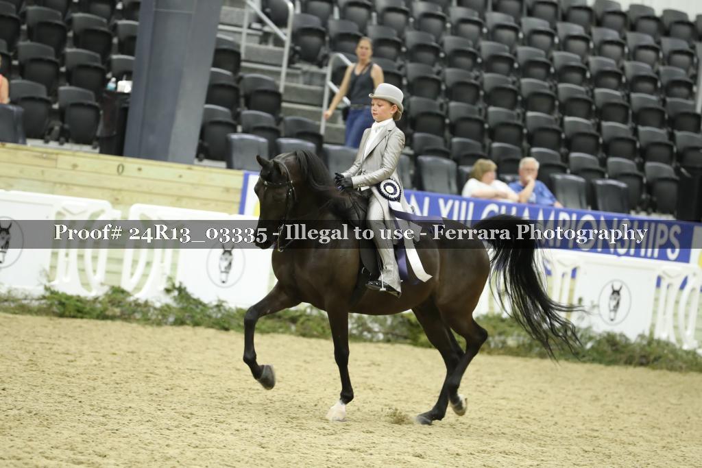 Proof 24R13_03335
