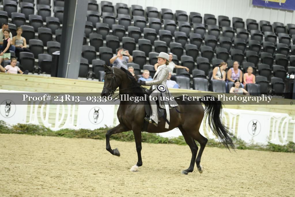 Proof 24R13_03336