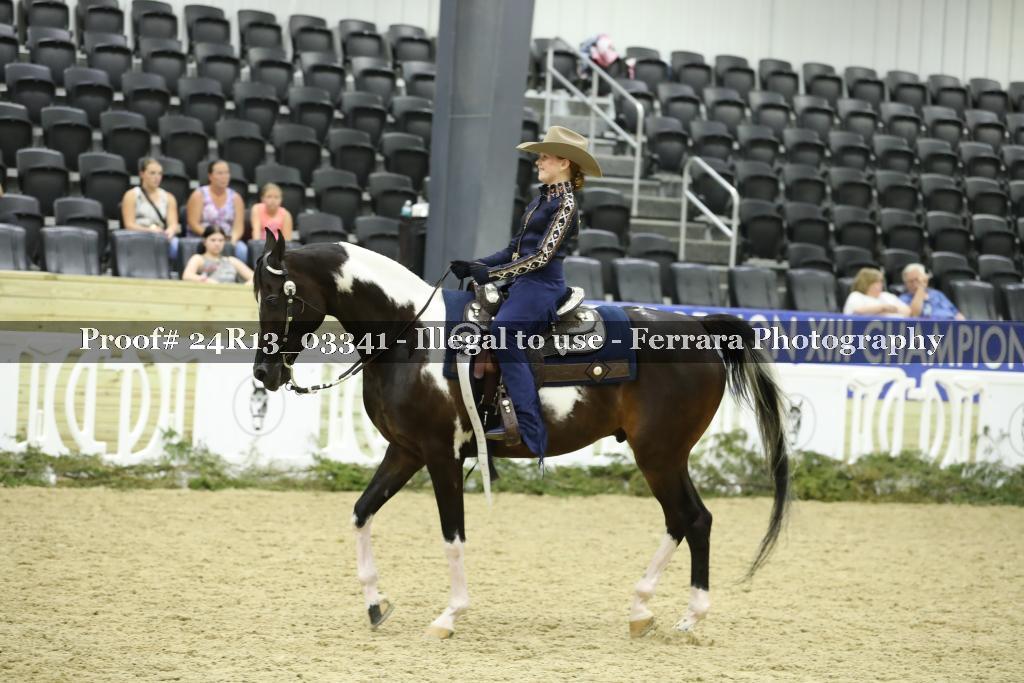 Proof 24R13_03341