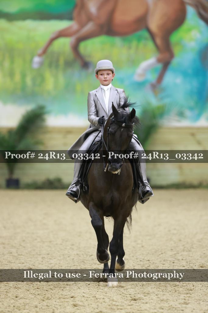 Proof 24R13_03342