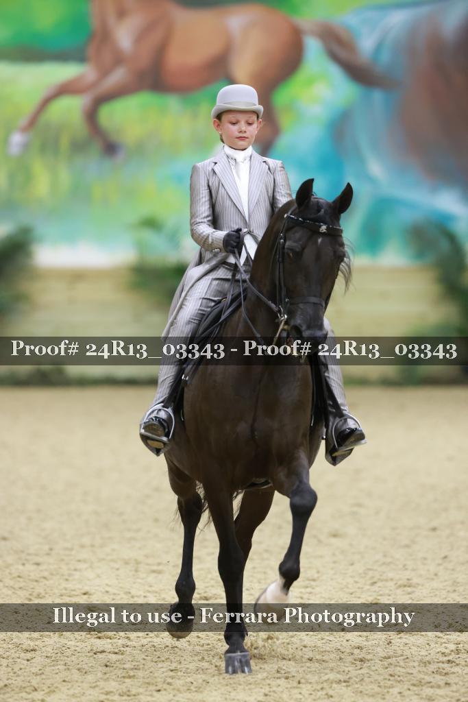Proof 24R13_03343