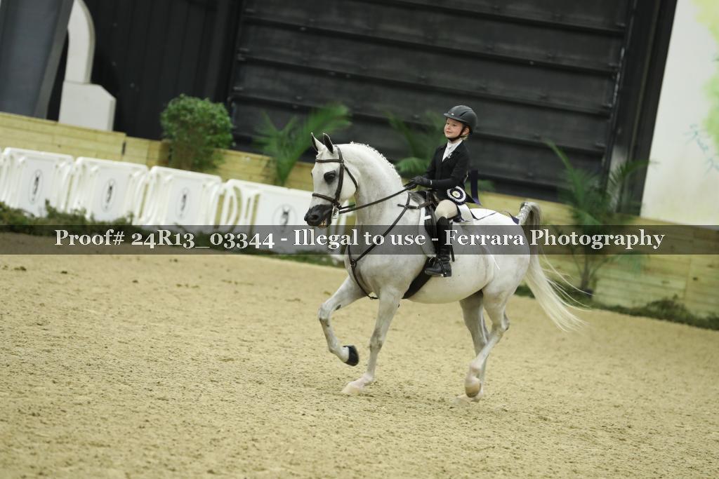 Proof 24R13_03344