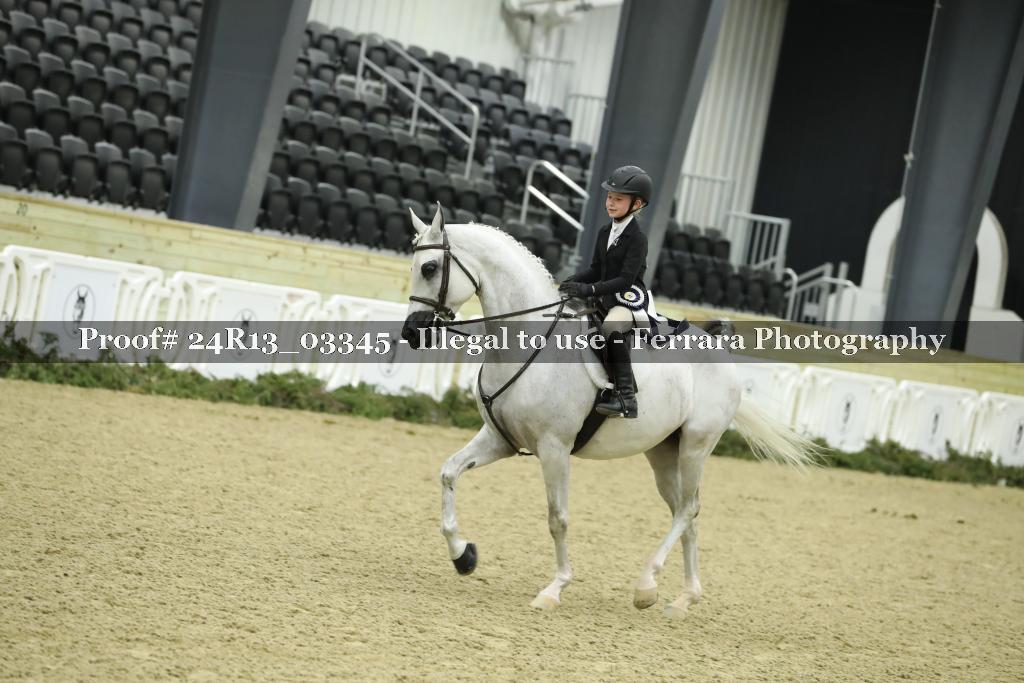 Proof 24R13_03345