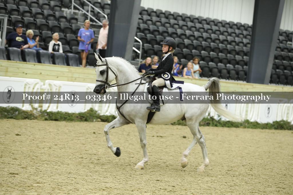Proof 24R13_03346