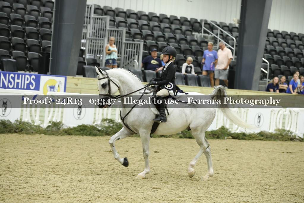 Proof 24R13_03347