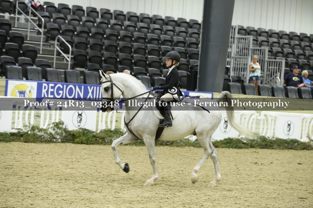 Proof 24R13_03348