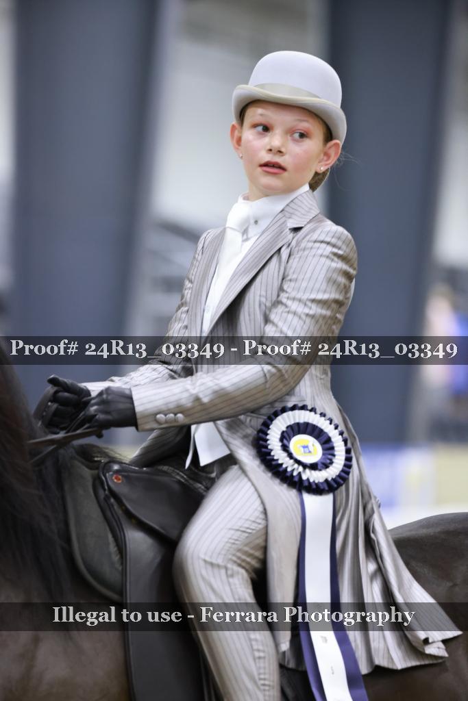Proof 24R13_03349