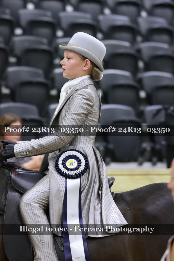 Proof 24R13_03350