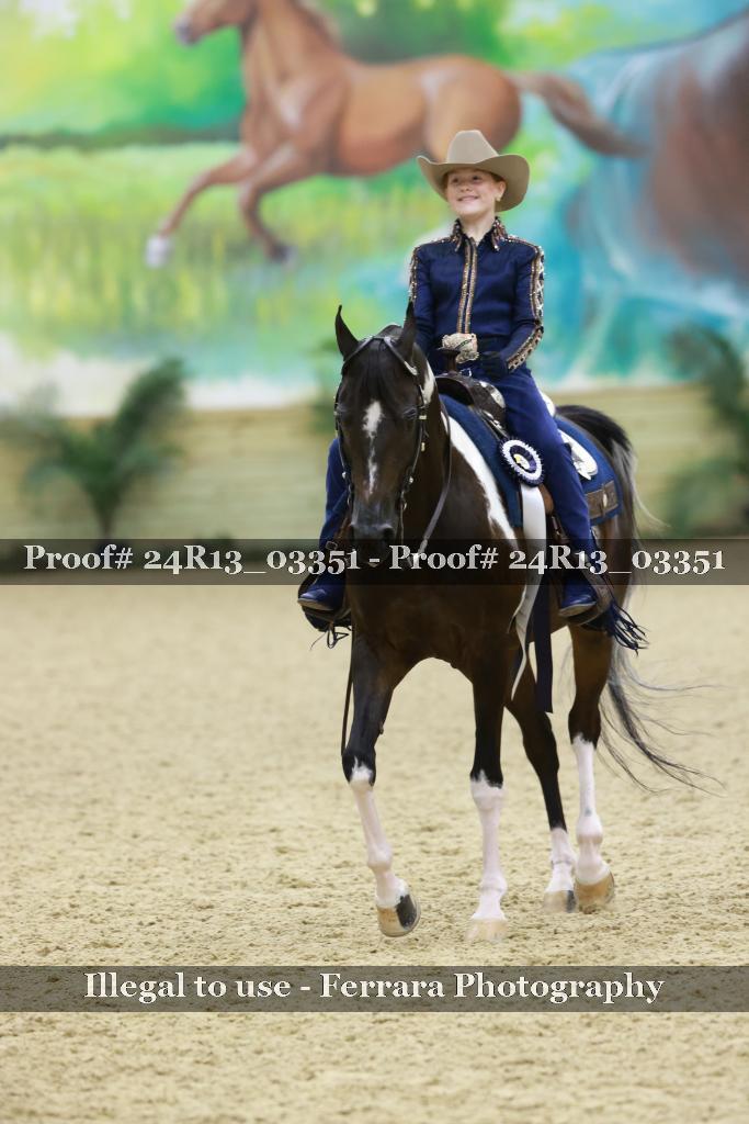 Proof 24R13_03351