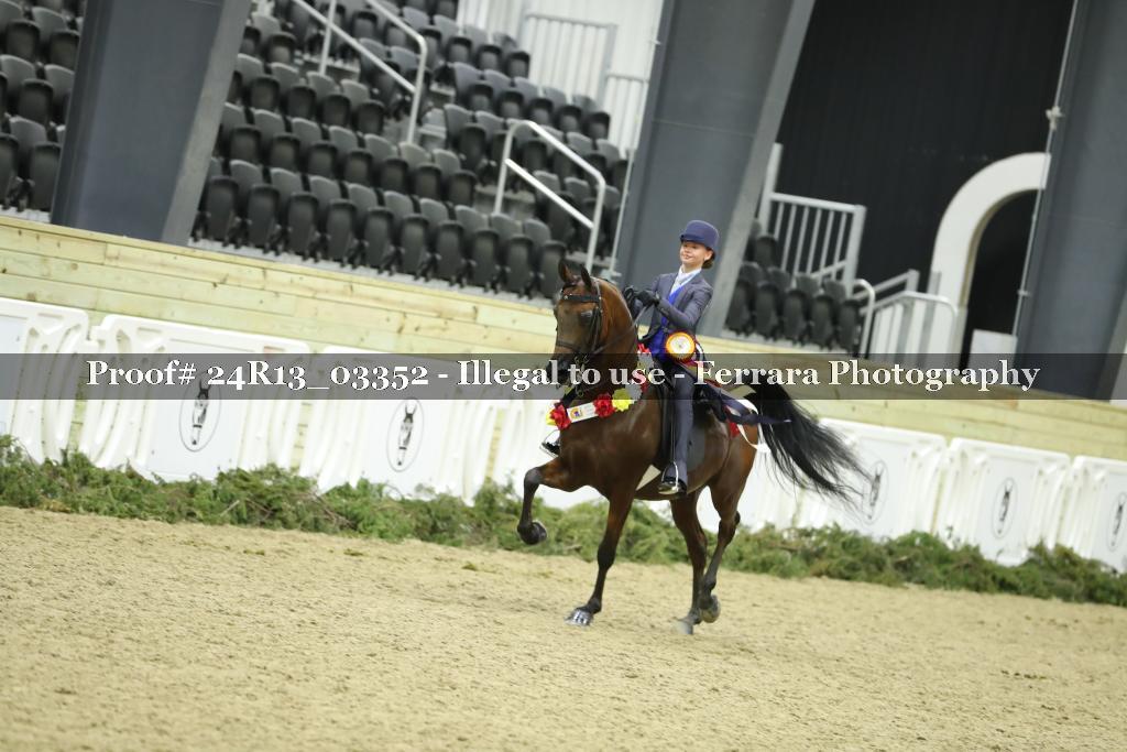 Proof 24R13_03352