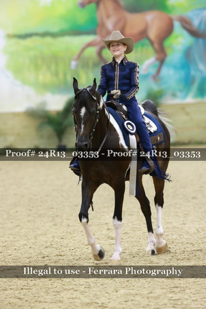 Proof 24R13_03353