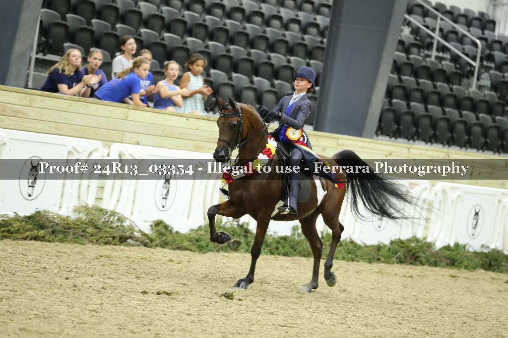 Proof 24R13_03354