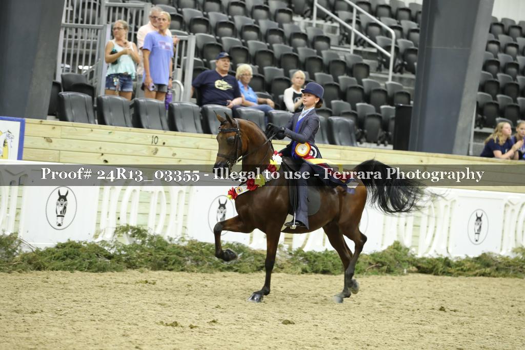 Proof 24R13_03355