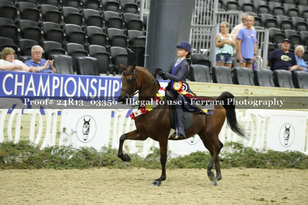 Proof 24R13_03356