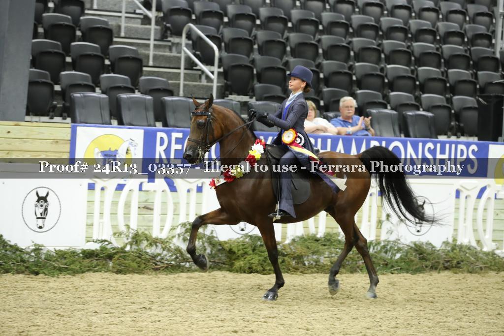 Proof 24R13_03357