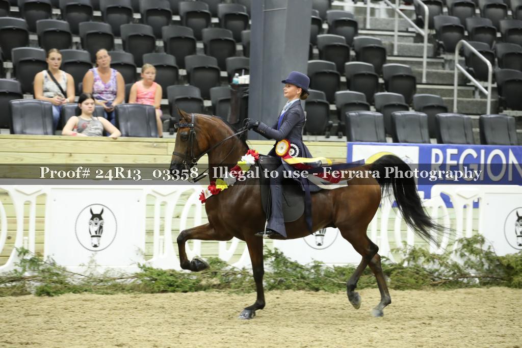 Proof 24R13_03358