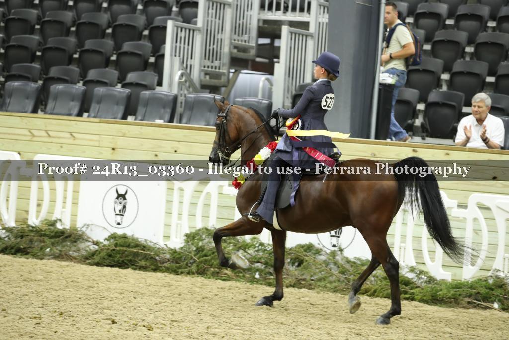 Proof 24R13_03360