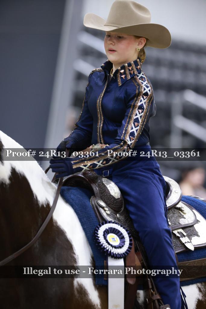Proof 24R13_03361