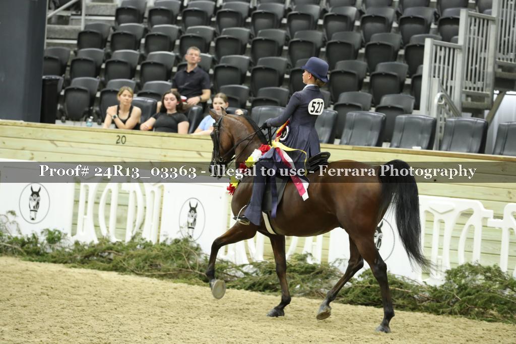 Proof 24R13_03363