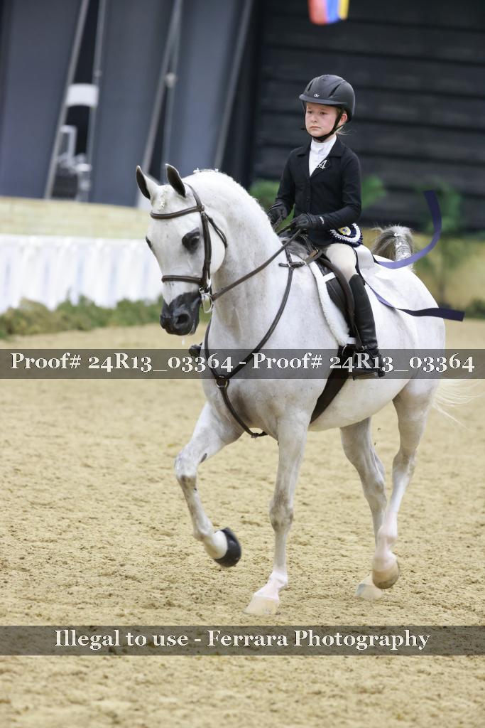 Proof 24R13_03364