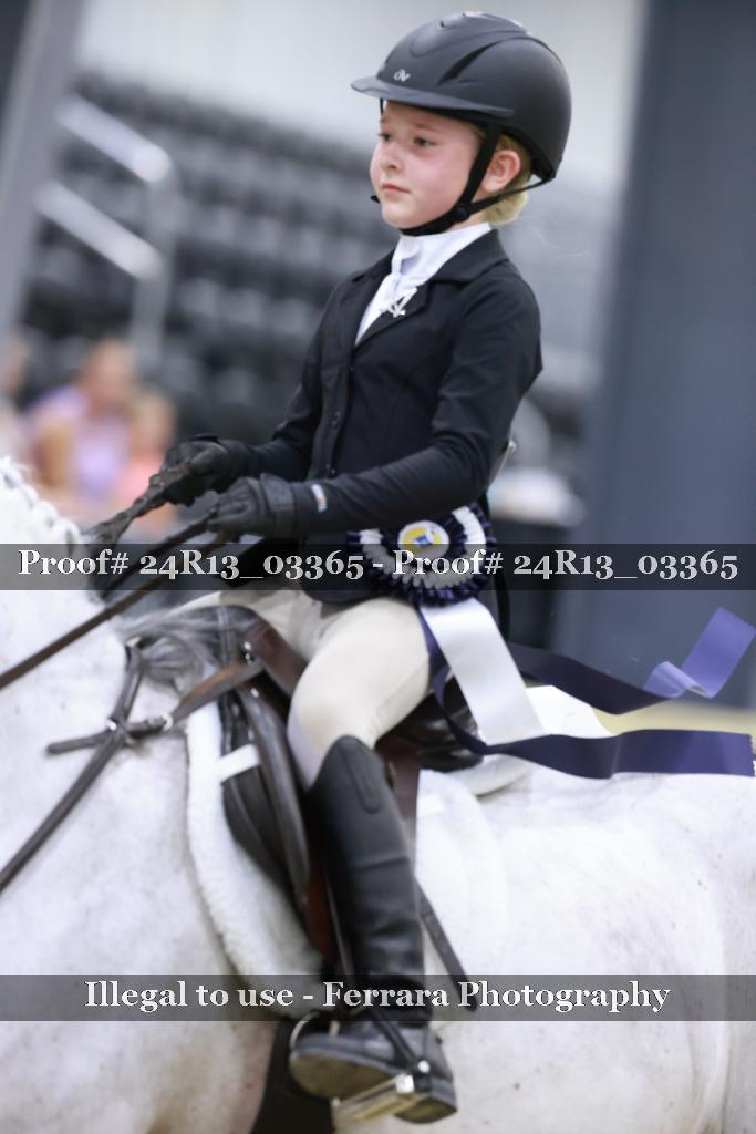 Proof 24R13_03365