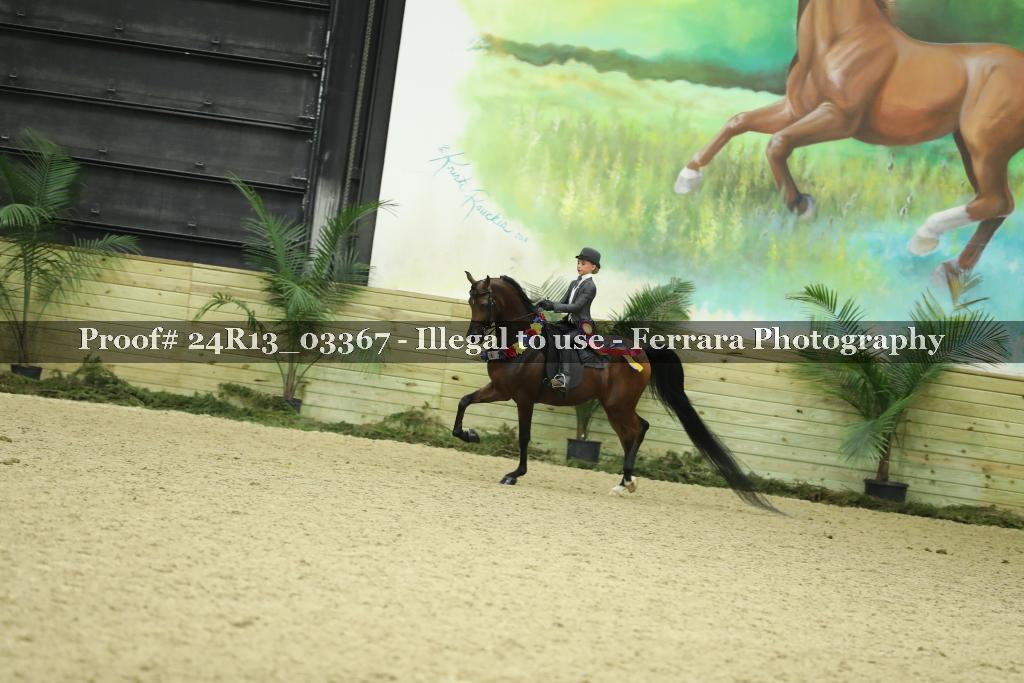 Proof 24R13_03367