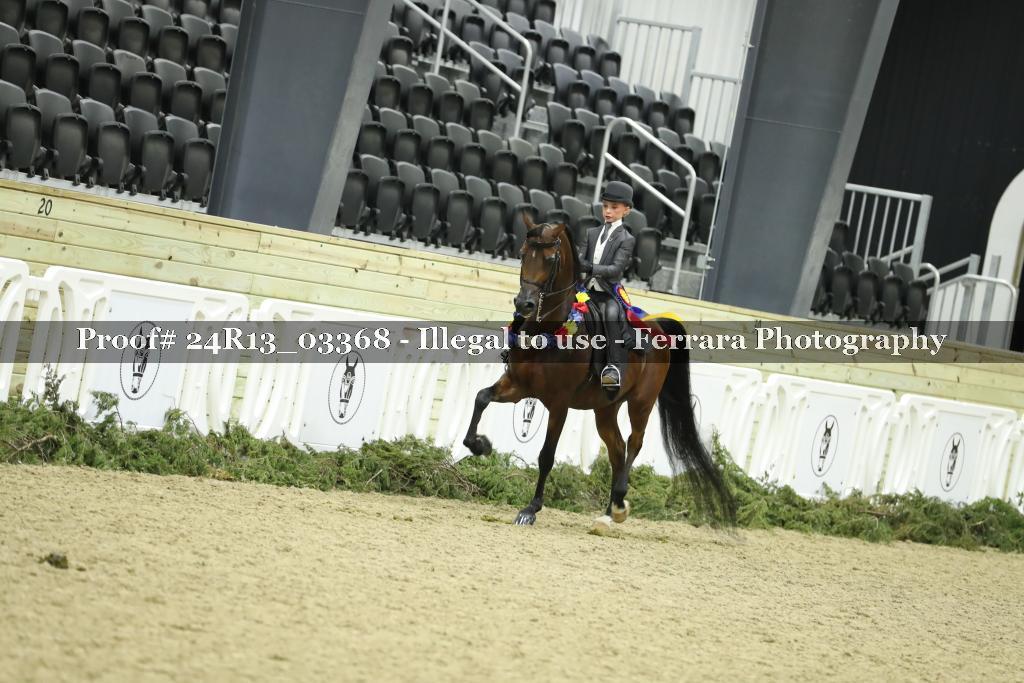 Proof 24R13_03368