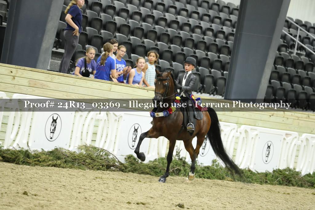 Proof 24R13_03369