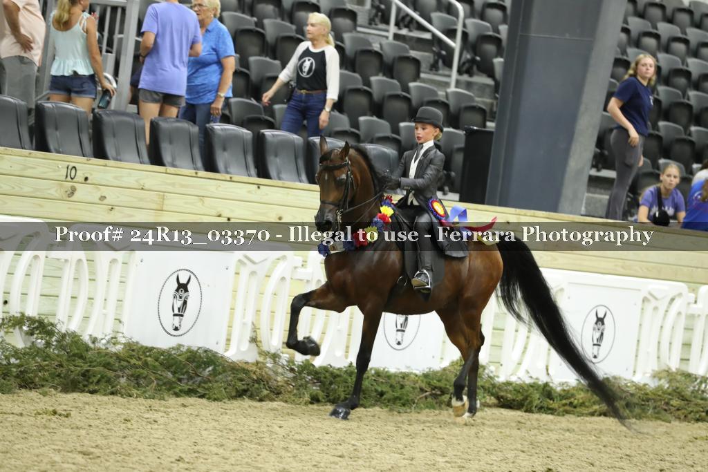 Proof 24R13_03370