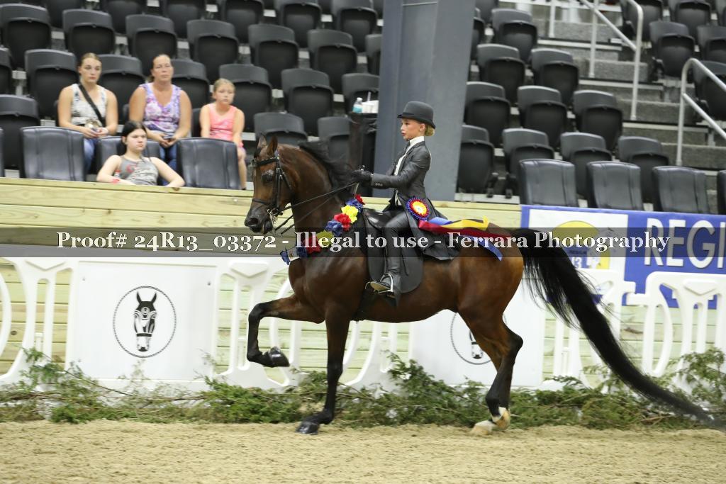 Proof 24R13_03372